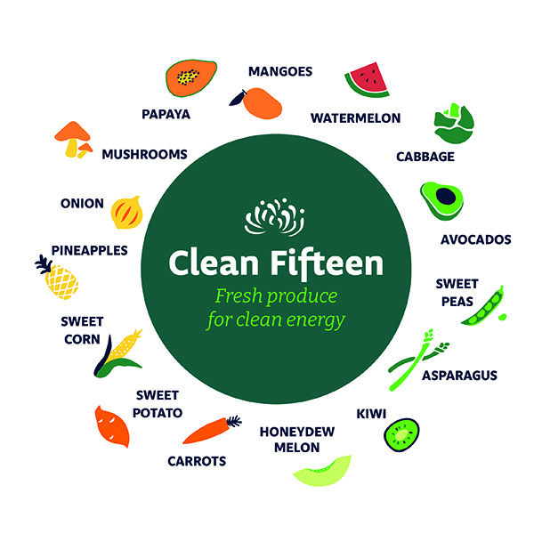 Clean Fifteen Graphic