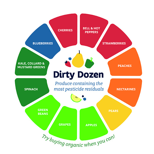 Dirty Dozen Graphic