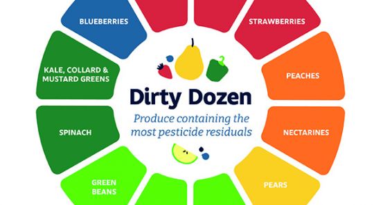 Dirty Dozen Graphic